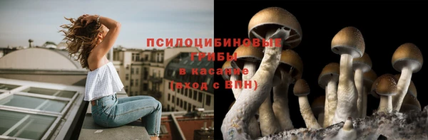 ГАЛЛЮЦИНОГЕННЫЕ ГРИБЫ Верея