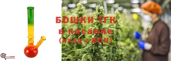 ГАЛЛЮЦИНОГЕННЫЕ ГРИБЫ Верея