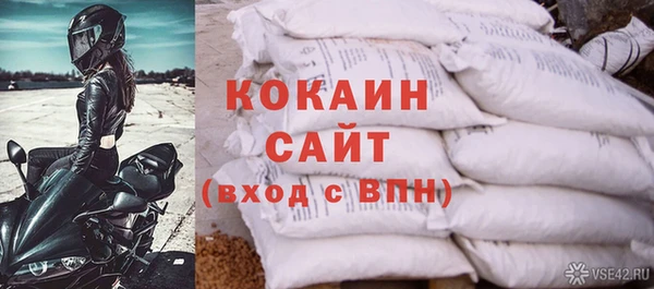 ГАЛЛЮЦИНОГЕННЫЕ ГРИБЫ Верея